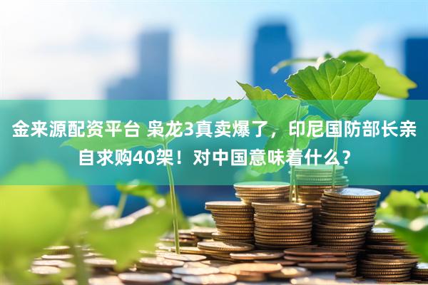 金来源配资平台 枭龙3真卖爆了，印尼国防部长亲自求购40架！对中国意味着什么？