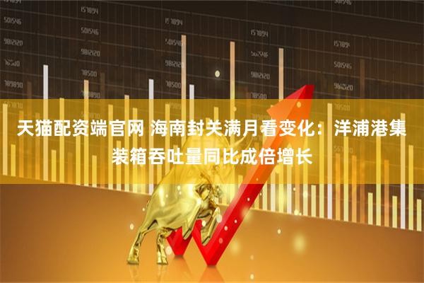 天猫配资端官网 海南封关满月看变化：洋浦港集装箱吞吐量同比成倍增长