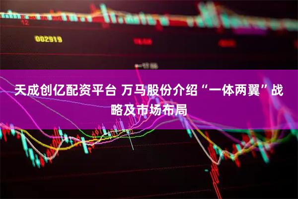 天成创亿配资平台 万马股份介绍“一体两翼”战略及市场布局